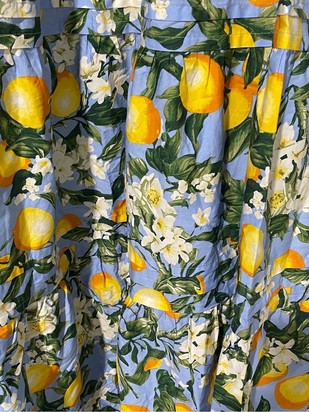Anthropologie Blue Lemon-Print V-Neck Maxi Dress - Picture 4 of 5